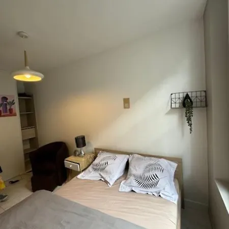 Belle T3, 48 M² Apartment *